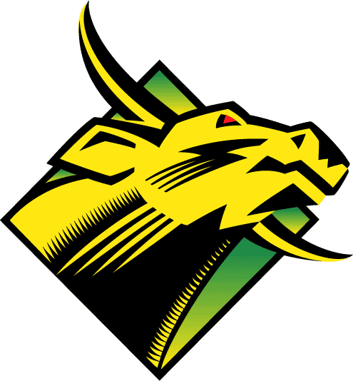 South Florida Bulls 1997-2002 Primary Logo diy fabric transfers